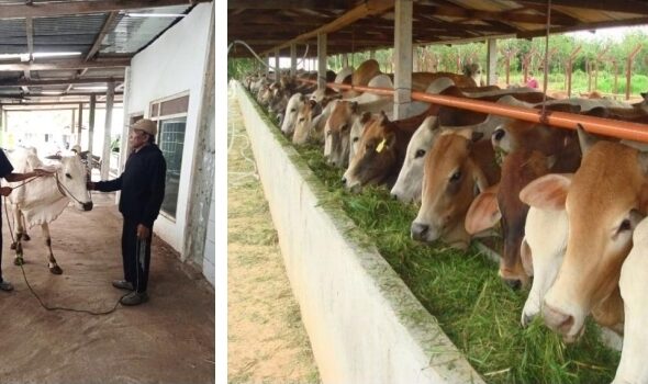 Screenshot_20260226_141301_Drive