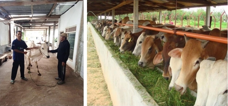 Screenshot_20260226_141301_Drive